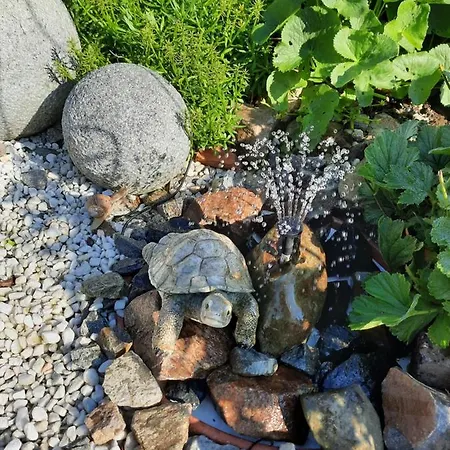 Tuchscherer Apartament Cranzahl